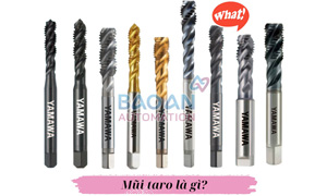 Các loại máy bơm nước phổ biến hiện nay và ứng dụng của chúng